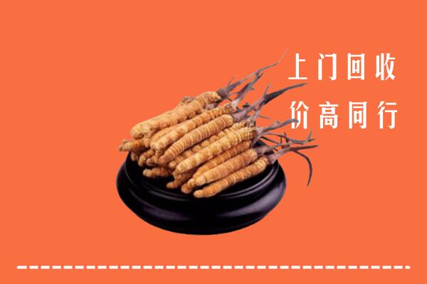 高价求购：西秀区回收散虫草