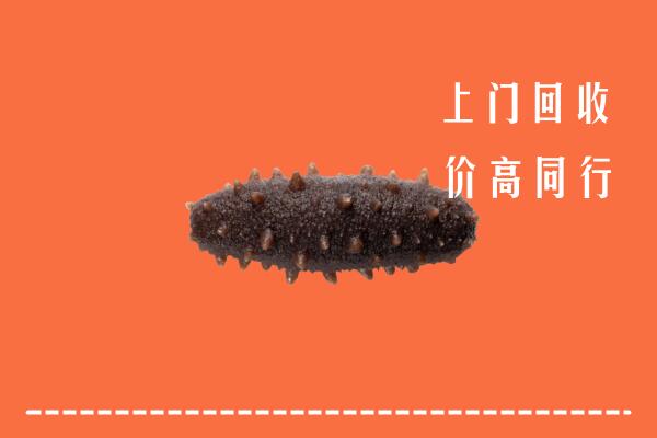 高价求购：西秀区回收海参