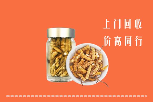 西秀区回收冬虫夏草